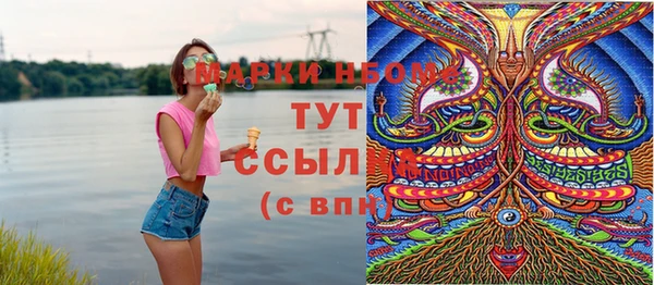 дживик Кинешма