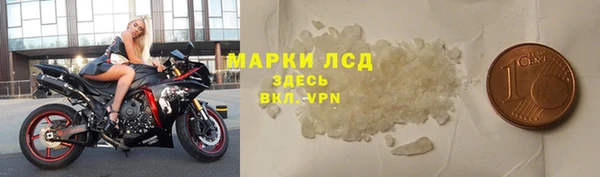 PSILOCYBIN Козловка