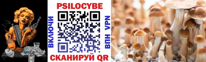 это телеграм  Малгобек  Псилоцибиновые грибы Psilocybe 